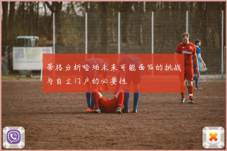 蒂格分析哈珀未来可能面临的挑战与自立门户的必要性